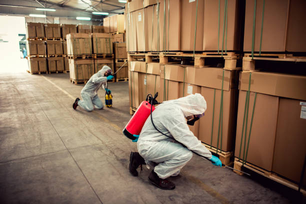 Best Pest Removal Services  in Holtville, AL