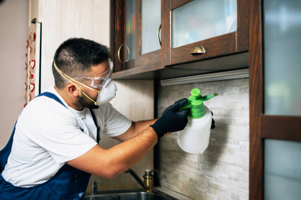 Best Mosquito Control Services  in Holtville, AL