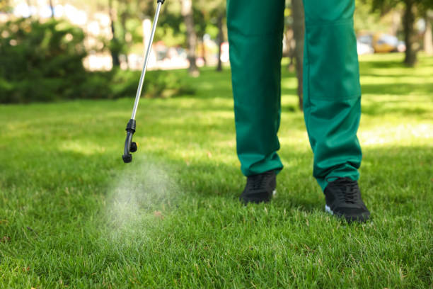 Best Wasp Removal Services  in Holtville, AL